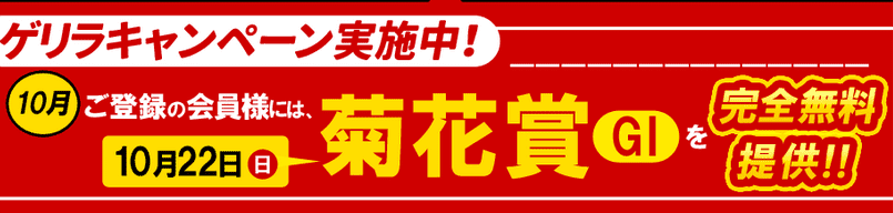 菊花賞（G1）」の無料情報