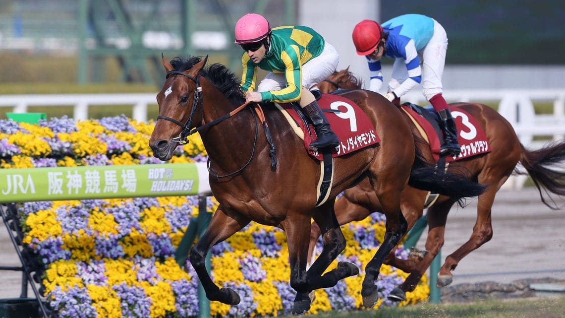競馬予想 何を参考