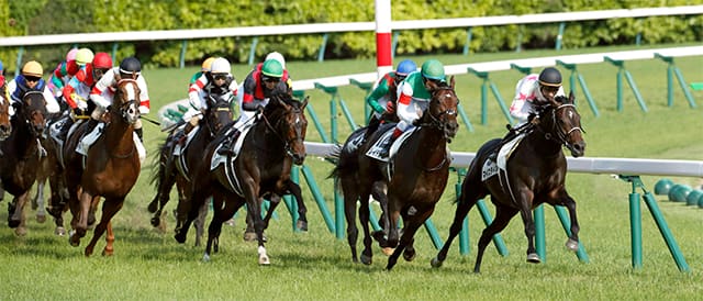 競馬 3年間で1億5000万円