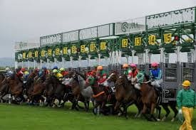 競馬予想 組み立て方