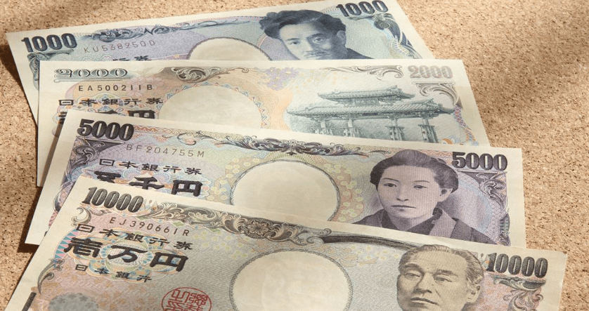 株式会社メジロの情報料金