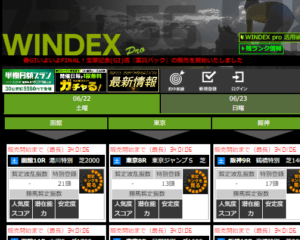 WINDEX pro