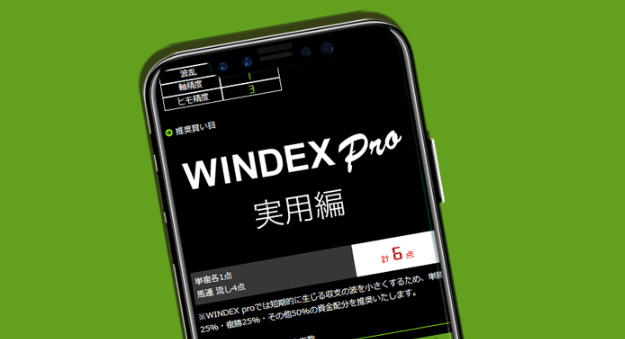 WINDEX proの評判