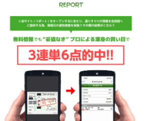 リポート