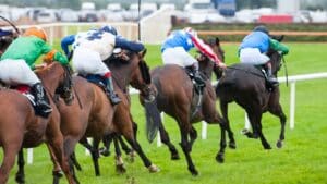 競馬予想サイトって本当に儲かるの？！正しく利益を得るために大事な5つの方法