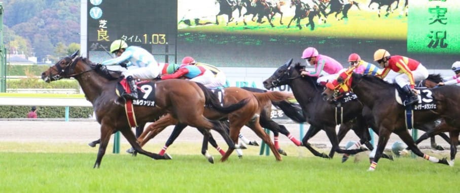 競馬 予想 ファクターとは