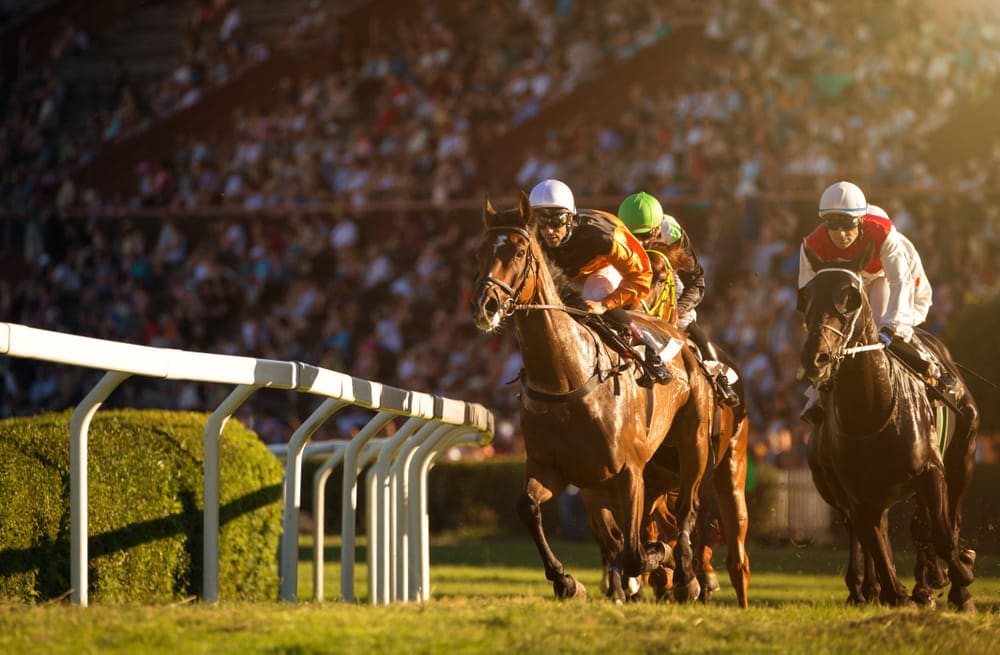 競馬予想 単勝