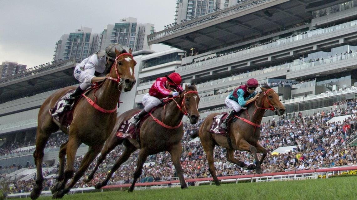 競馬予想サイト クレジットカード