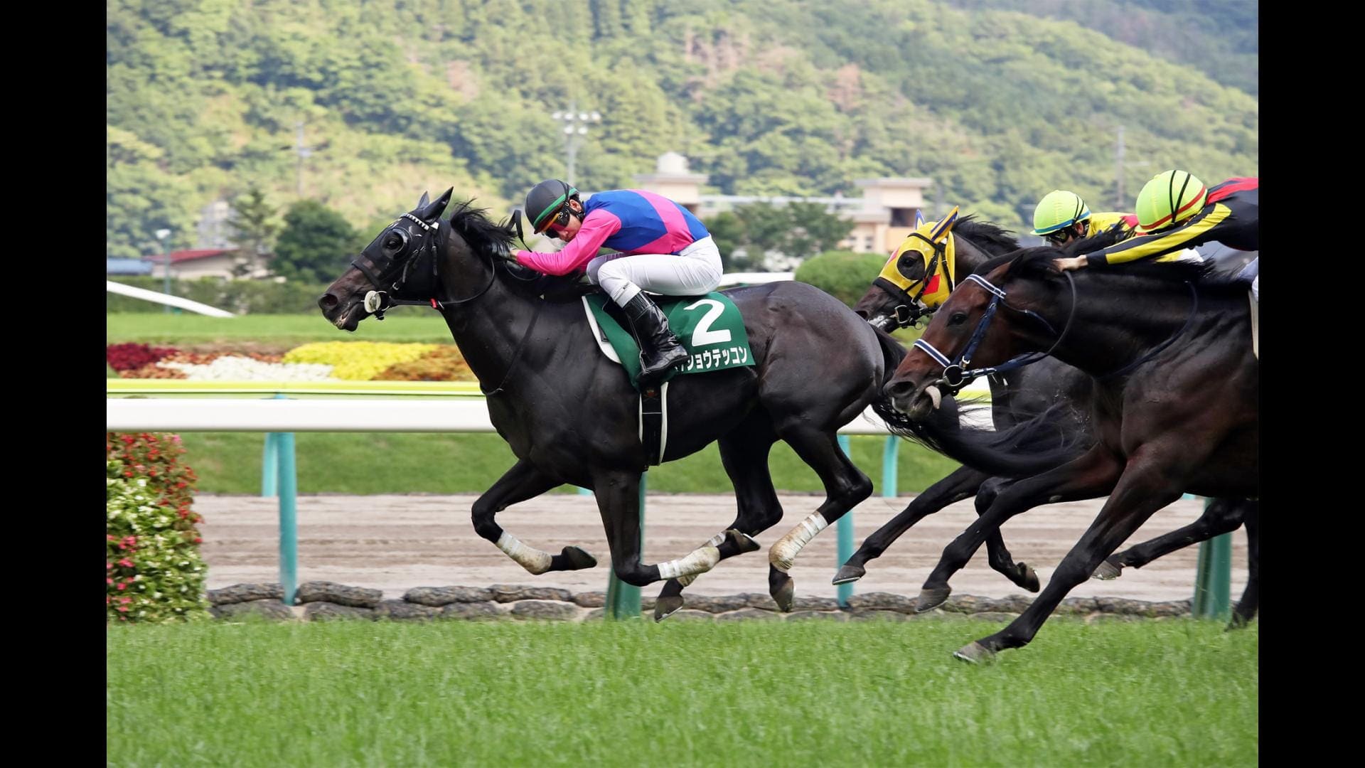 競馬予想サイト 手口