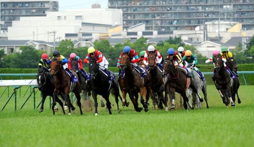 競馬予想サイト 運営