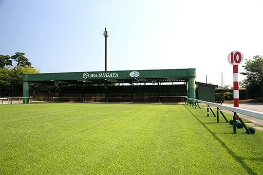 新潟競馬場
