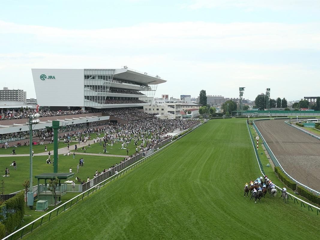 札幌競馬場