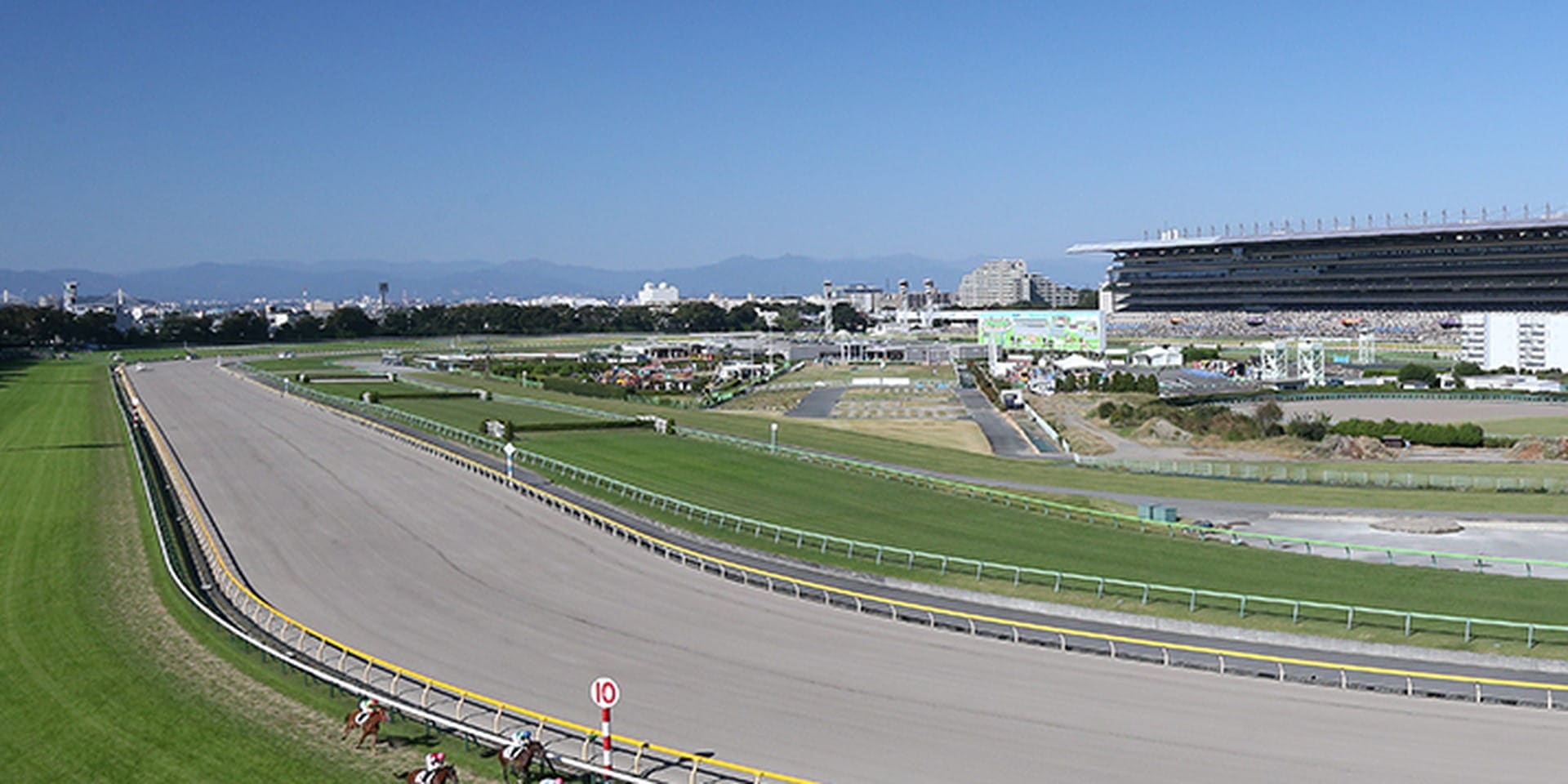 東京競馬場