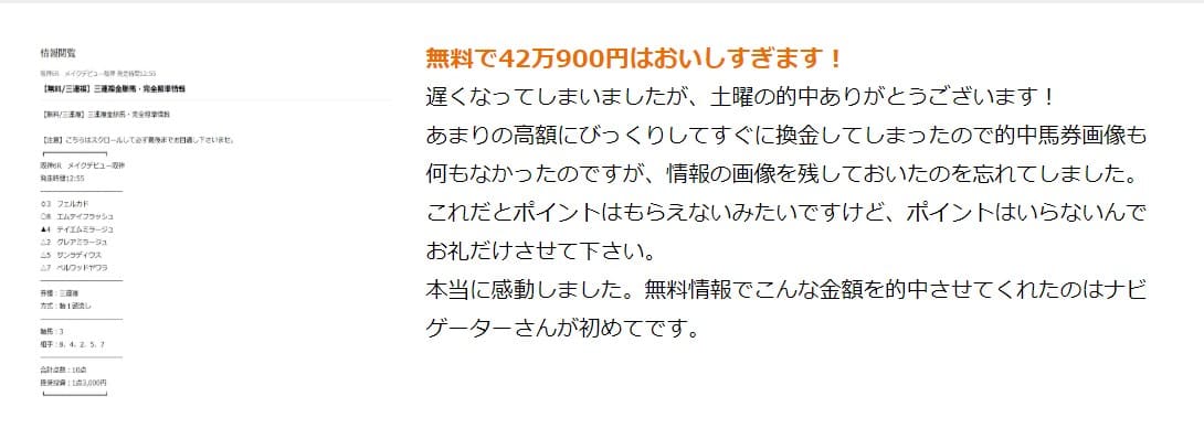 ナビゲーターの口コミでの評判