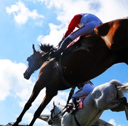 NN競馬会