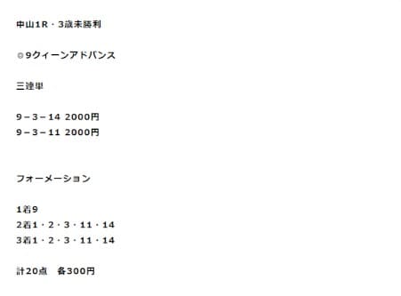 競馬アナリティクスRED 予想 買い目