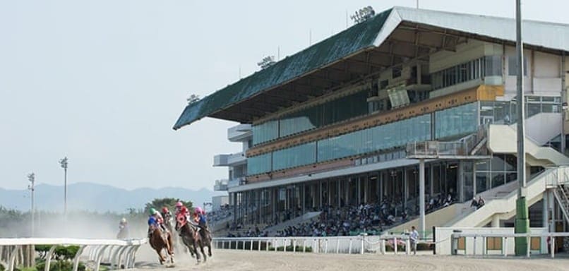 地方競馬予想 水沢