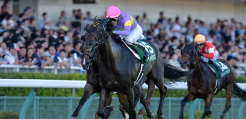 夏競馬 荒れる