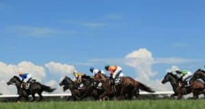 夏競馬の予想が難しい人必見!最強の対策方法4選