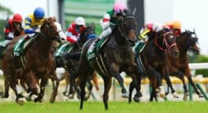競馬予想は7つのコツで的中 回収率爆上がり 見るのはココだ 競馬サイト調査局