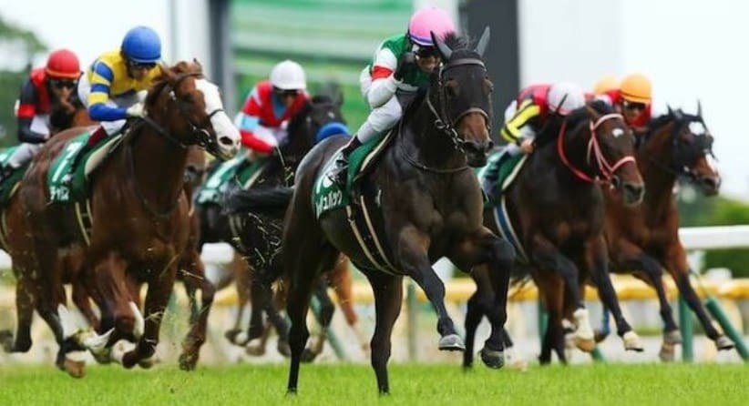 競馬 マルチ 買い方