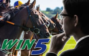 win5を予想する方法は存在する！？win5の基本情報から攻略まで網羅！