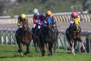 競馬の魅力は平場レースにあり！平場レースの予想をしているサイト5選