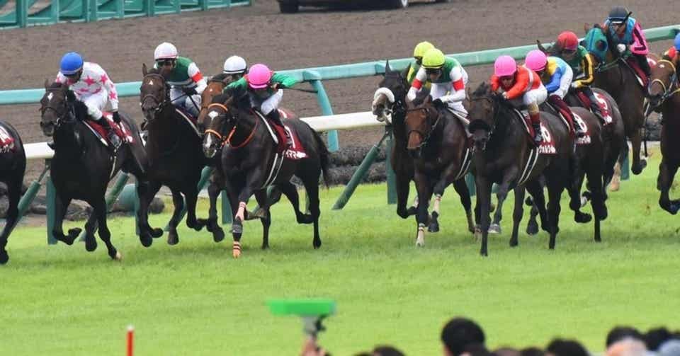 競馬 平場 予想
