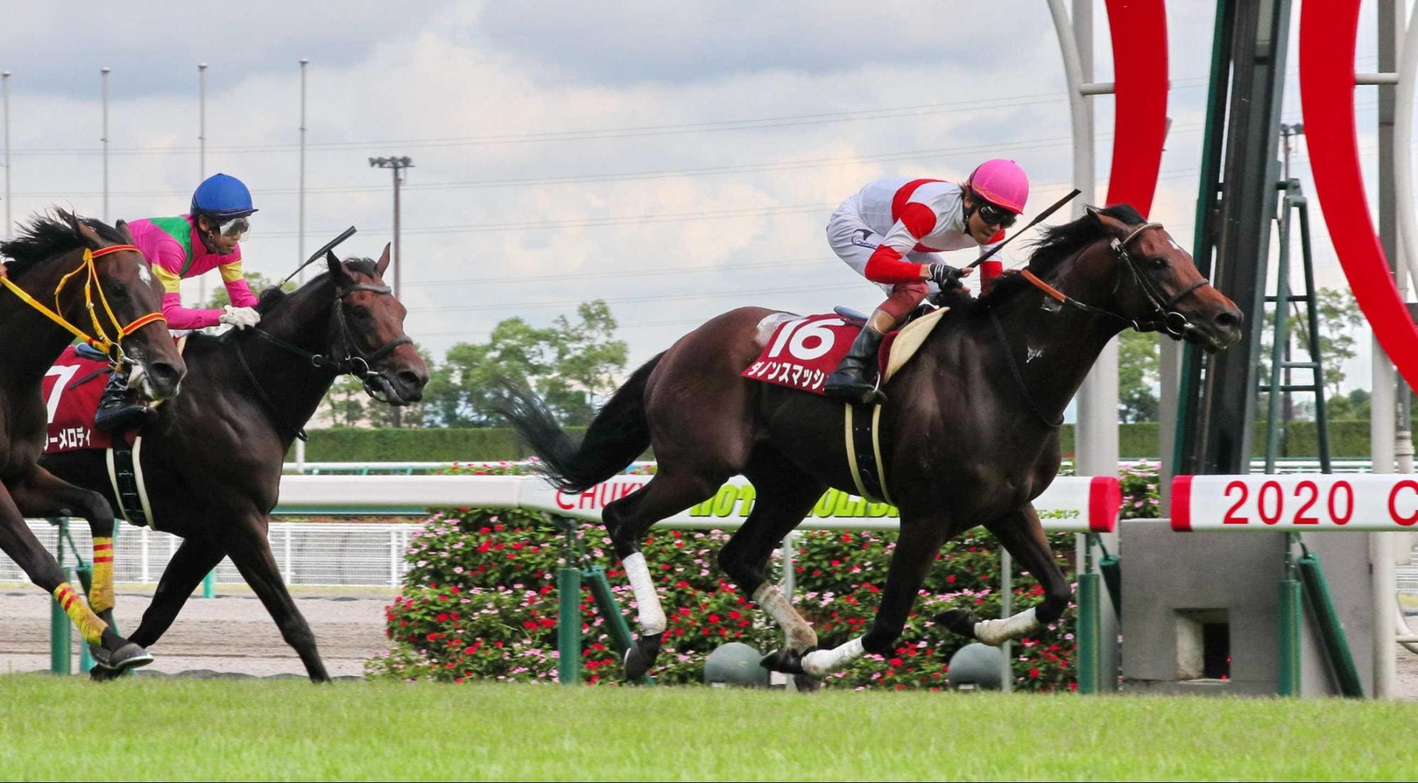 競馬 予想 データ