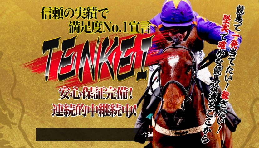 tenkei 競馬予想サイト