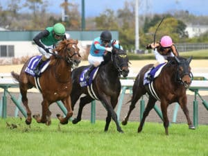 競馬の予想などでカギを握る血統！現在主流となる血統の特徴を紹介