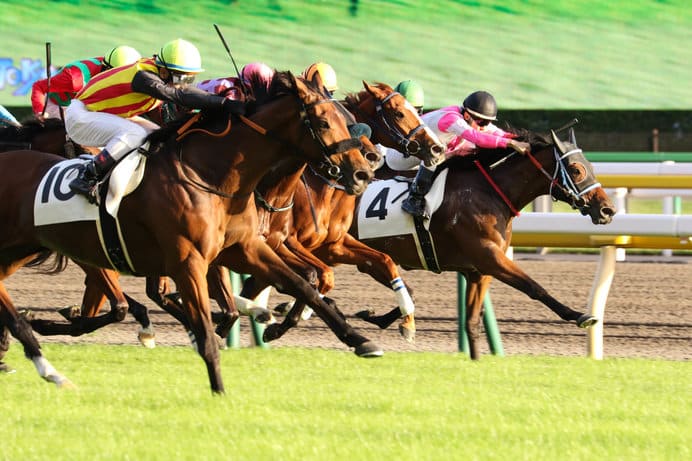 競馬予想サイト 嘘
