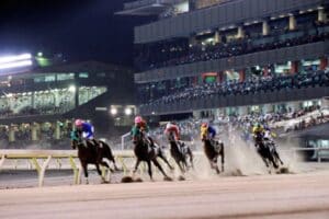 地方競馬ならココが最強！勝てる無料予想を提供しているサイト4選