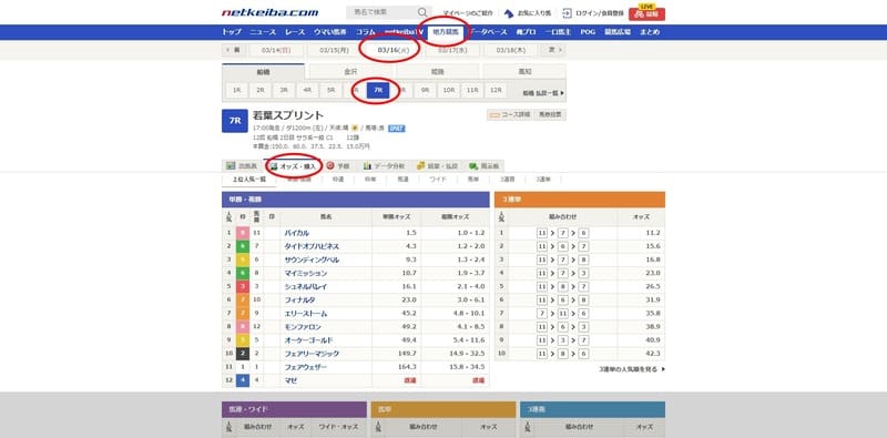 netkeiba.com オッズ