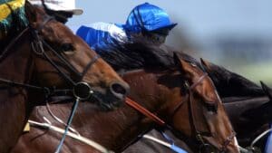 競馬予想の無料情報で3連単を狙え！初心者向けの買い方も解説！
