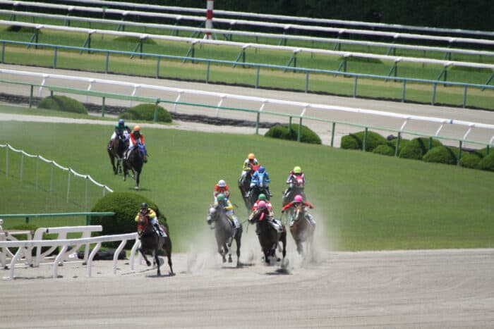 地方競馬の開催制限と回数