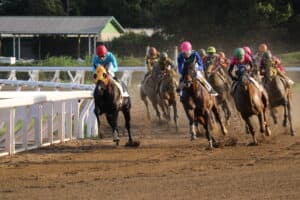 地方競馬の開催日程と絶対に見るべき人気レース5選