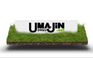 UMAJINの注目コンテンツを5つ紹介！プロから厳選情報を入手すべし！