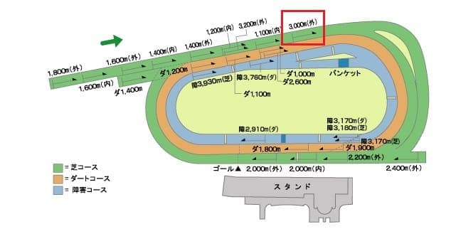 京都競馬場の芝3000mの全体画像