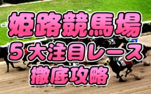 姫路競馬場レースは魅力がいっぱい！4つの注目な重賞予想ポイントを徹底解説!!