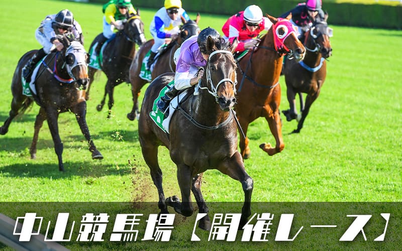 中山競馬場 レース