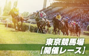 東京競馬場のレースは差し馬天国!?調べて分かった東京競馬場の攻略ポイント!!