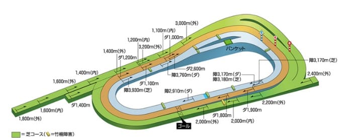 京都競馬場立体図