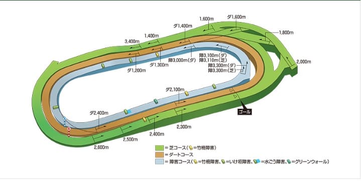 東京競馬場立体コース図