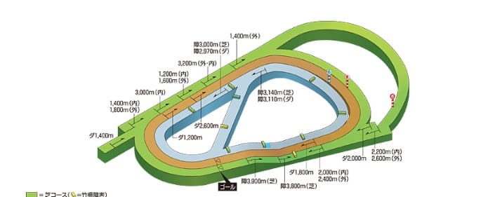 阪神競馬場立体図