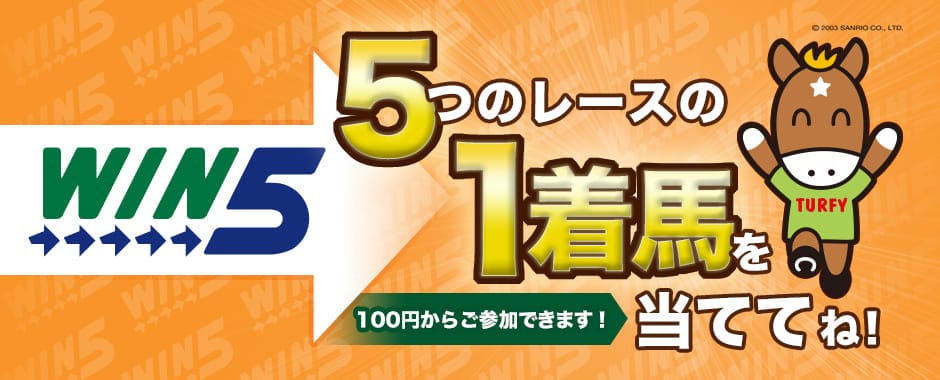 WIN5とは