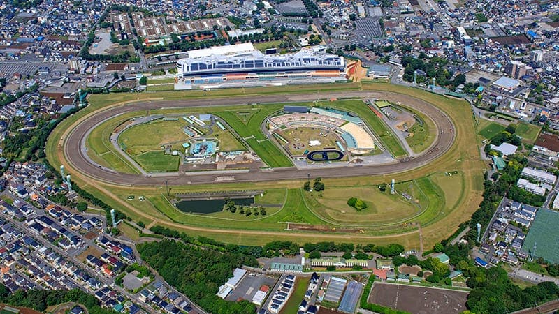 中山競馬場