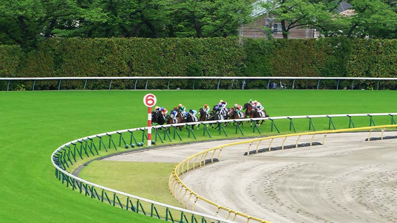 札幌競馬場