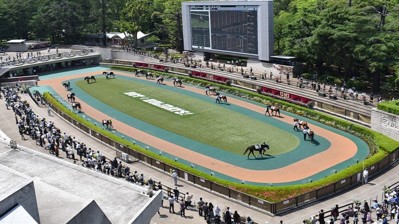 東京競馬場