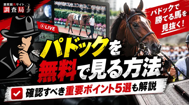 パドック 無料で見る方法